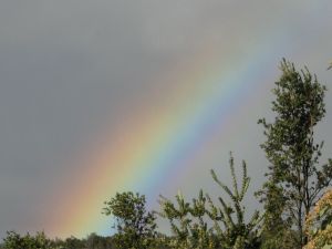 Red, Orange, Yellow, Green, Blue, Indigo and Violet can be clearly seen in this close up rainbow photo